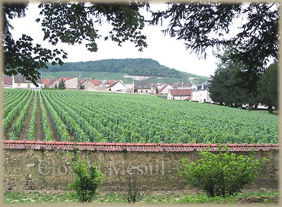 champagneprovning Mesnil